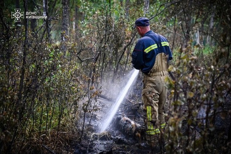 Пожежу у Чорнобильській зоні відчуження ліквідували — ДСНС
